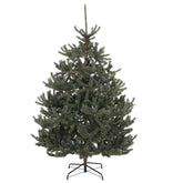 Salcar Künstlicher Nordmanntannen Weihnachtsbaum – Ultra-realistisch, 180 cm / 210 cm, 1118 / 1512 Spitzen, Dicht & Langlebig für Innen- und Außenbereich
