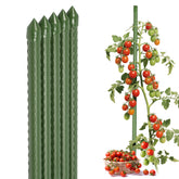 Sekey Tomaten Rankhilfe – Pflanzenstütze aus kunststoffbeschichtetem Stahl, rostfrei, Rankstab für Tomaten, Gurken, Bohnen & Blumen, verschiedene Größen 60cm / 75cm / 90cm / 120cm / 145cm Rankstäbe, Grün