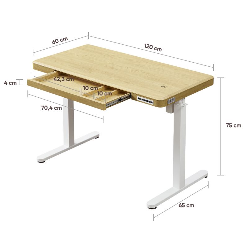 KOWO 120 cm Electric Height Adjustable Desk with Drawers and Wireless Charging, AufMax