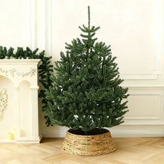 Salcar Artificial Christmas Tree Nordmann Fir – Ultra-realistic, 180 cm / 210 cm with 1118 / 1512 tips, Dense &amp; Robust, For Indoor &amp; Outdoor Use