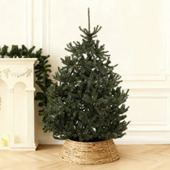 Salcar Artificial Nordmann Fir Christmas Tree – Ultra-realistic, 180 cm / 210 cm, 1118 / 1512 tips, Dense &amp; Durable for Indoor and Outdoor Use