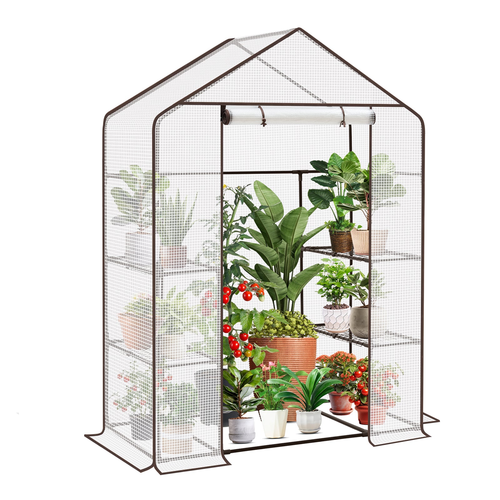Sekey XL Foliengewächshaus 200×145×75 cm – Stabiles Balkon-Gewächshaus mit 4 Regalböden für gesundes Pflanzenwachstum