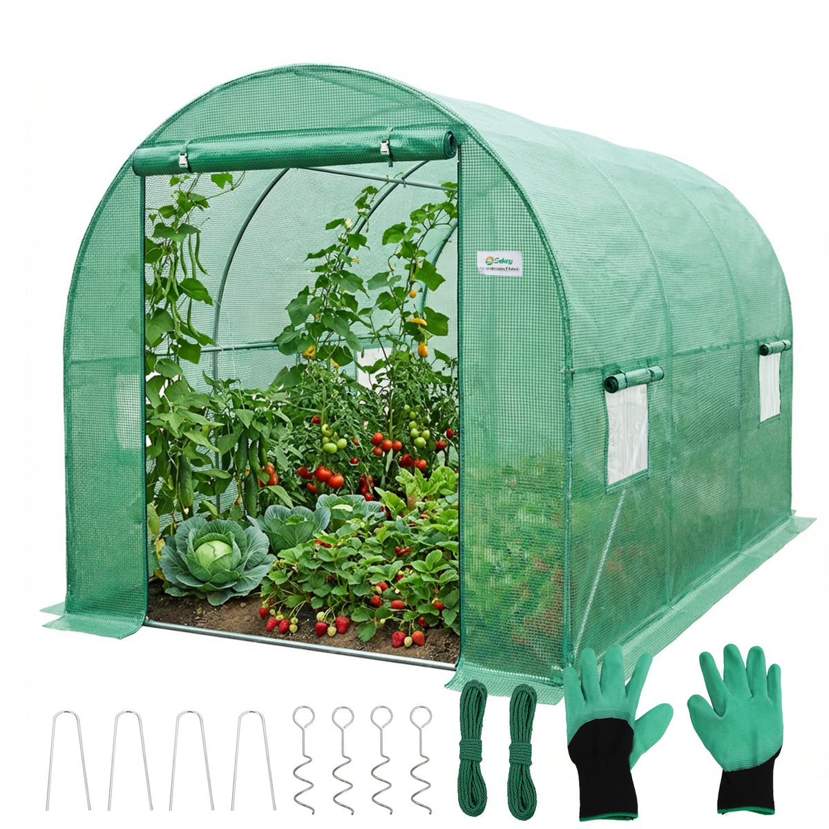Sekey Winterfestes Foliengewächshaus 3×2×2 m – 6 m² Folientunnel aus verzinktem Stahl, 2 m Stehhöhe, 2 Türen & 4 Fenster, 140 g/m² PE-Folie inkl. Profi-Verankerung