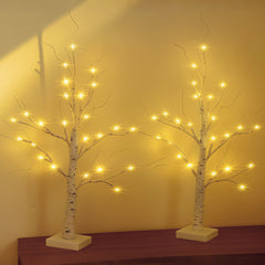 SALCAR LED Lichterbaum 60 cm, Birke mit 24 warmweißen LEDs, USB/Batteriebetrieben, Weihnachts- und Partydeko für Zuhause, Geburtstag, Hochzeit, Innendekoration