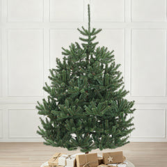Salcar Artificial Christmas Tree Nordmann Fir – Ultra-realistic, 180 cm / 210 cm with 1118 / 1512 tips, Dense &amp; Robust, For Indoor &amp; Outdoor Use