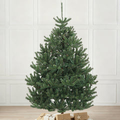 Salcar Artificial Christmas Tree Nordmann Fir – Ultra-realistic, 180 cm / 210 cm with 1118 / 1512 tips, Dense &amp; Robust, For Indoor &amp; Outdoor Use