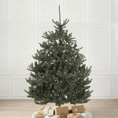 Salcar Artificial Nordmann Fir Christmas Tree – Ultra-realistic, 180 cm / 210 cm, 1118 / 1512 tips, Dense &amp; Durable for Indoor and Outdoor Use