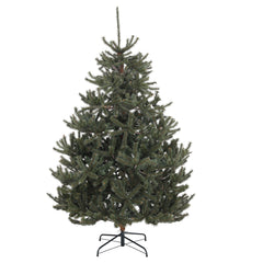 Salcar Artificial Nordmann Fir Christmas Tree – Ultra-realistic, 180 cm / 210 cm, 1118 / 1512 tips, Dense &amp; Durable for Indoor and Outdoor Use
