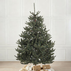 Salcar Artificial Nordmann Fir Christmas Tree – Ultra-realistic, 180 cm / 210 cm, 1118 / 1512 tips, Dense &amp; Durable for Indoor and Outdoor Use