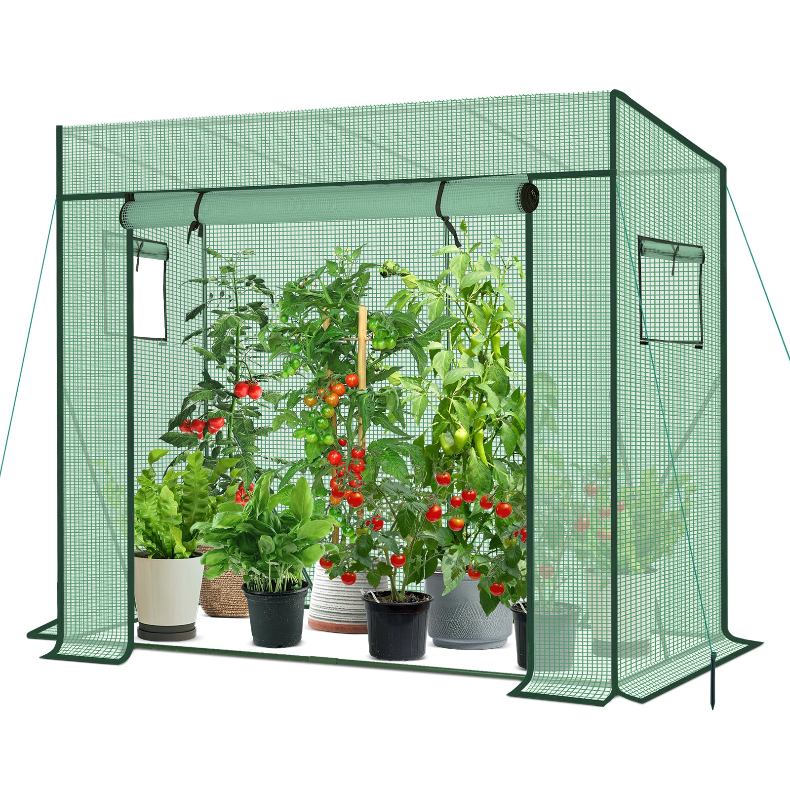 Sekey Tomatengewächshaus 200 x 170 x 77 cm – Begehbares Folien-Gewächshaus für Balkon & Garten, stabil, winterfest & UV-beständig, Grün