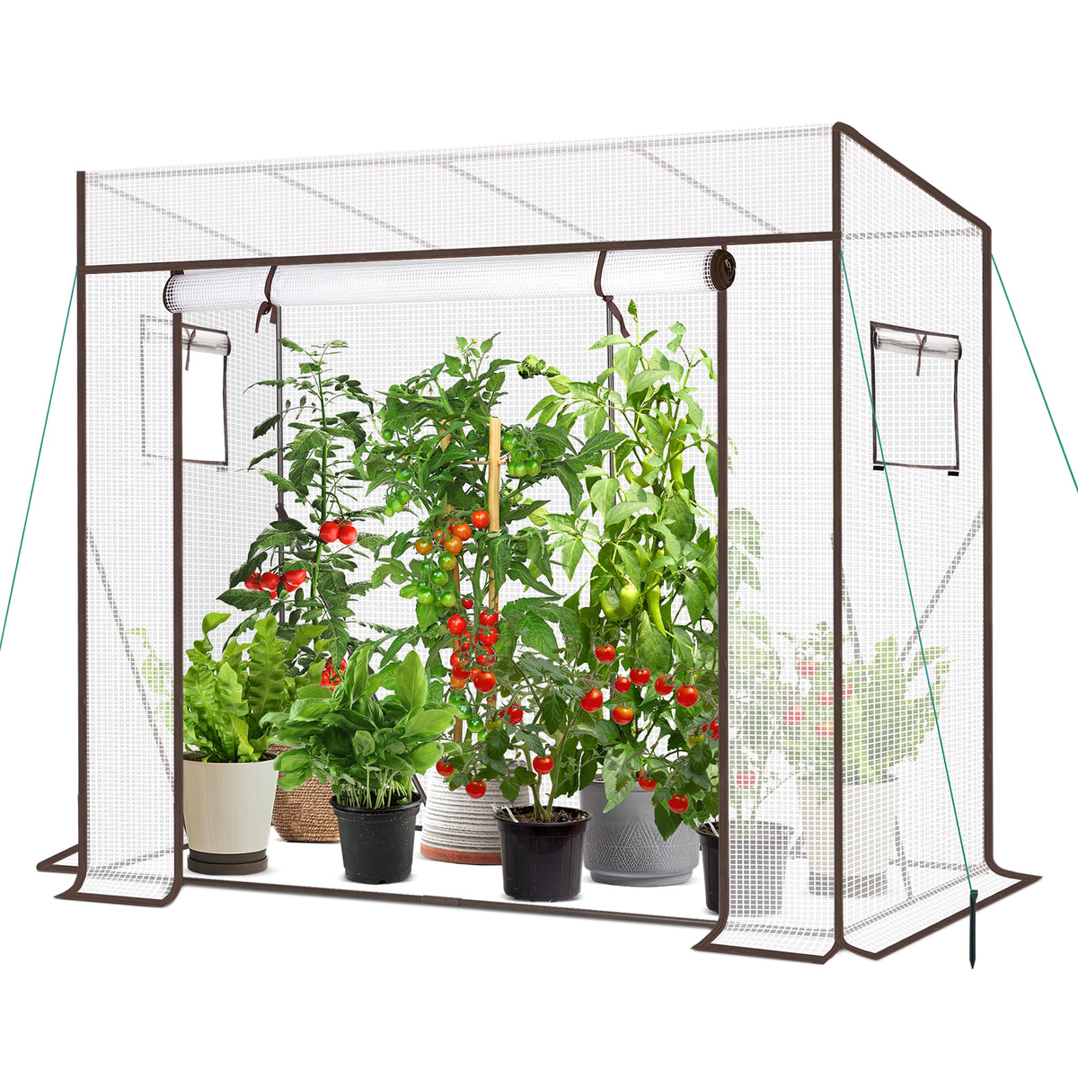 Sekey Tomatengewächshaus Tamara XL – Folien-Gewächszelt mit aufrollbarer Tür, stabiler Rahmen 200 x 77 x 146/170 cm