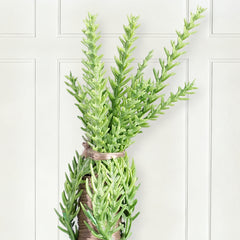Salcar Künstlicher Weihnachtsbaum mit echtem Holzstamm – 100 % PE, zartgrün – 90 cm / 120 cm, naturgetreu & pflegeleicht
