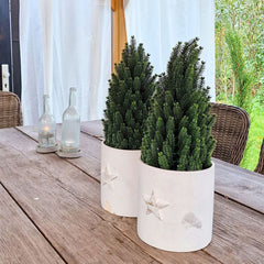 Salcar 50cm Artificial Christmas Tree Small with Base Pot, Nordmann Fir, made of 100% PE Injection Molding