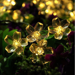 Salcar 5 m LED solar flower fairy lights, 20 LEDs