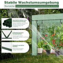 Sekey Tomatengewächshaus 200 x 170 x 77 cm – Begehbares Folien-Gewächshaus für Balkon & Garten, stabil, winterfest & UV-beständig, Grün