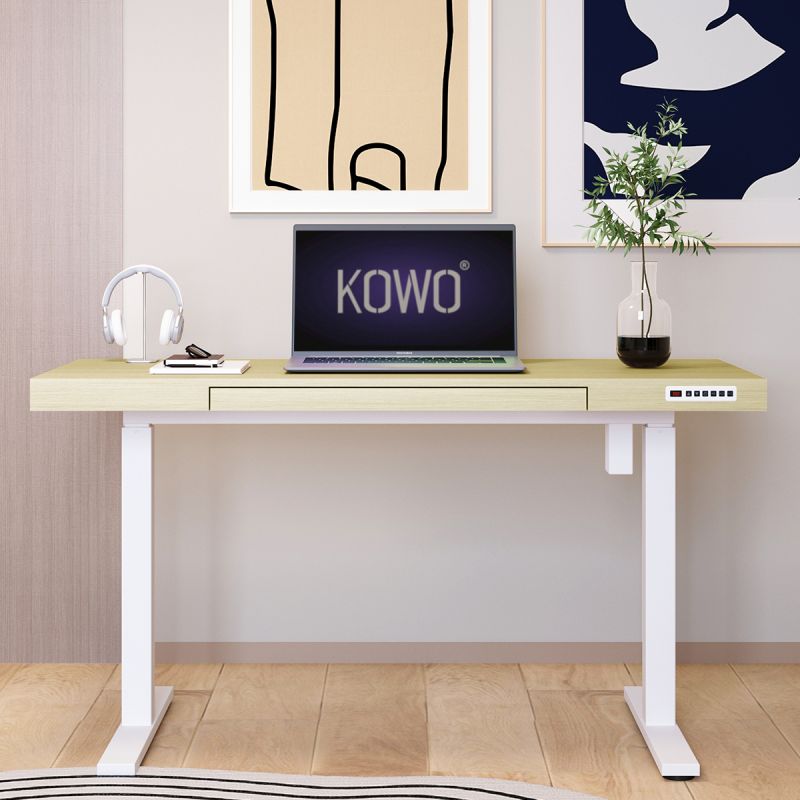 KOWO 120 cm Electric Height Adjustable Desk with Drawers and Wireless Charging, Mobilo