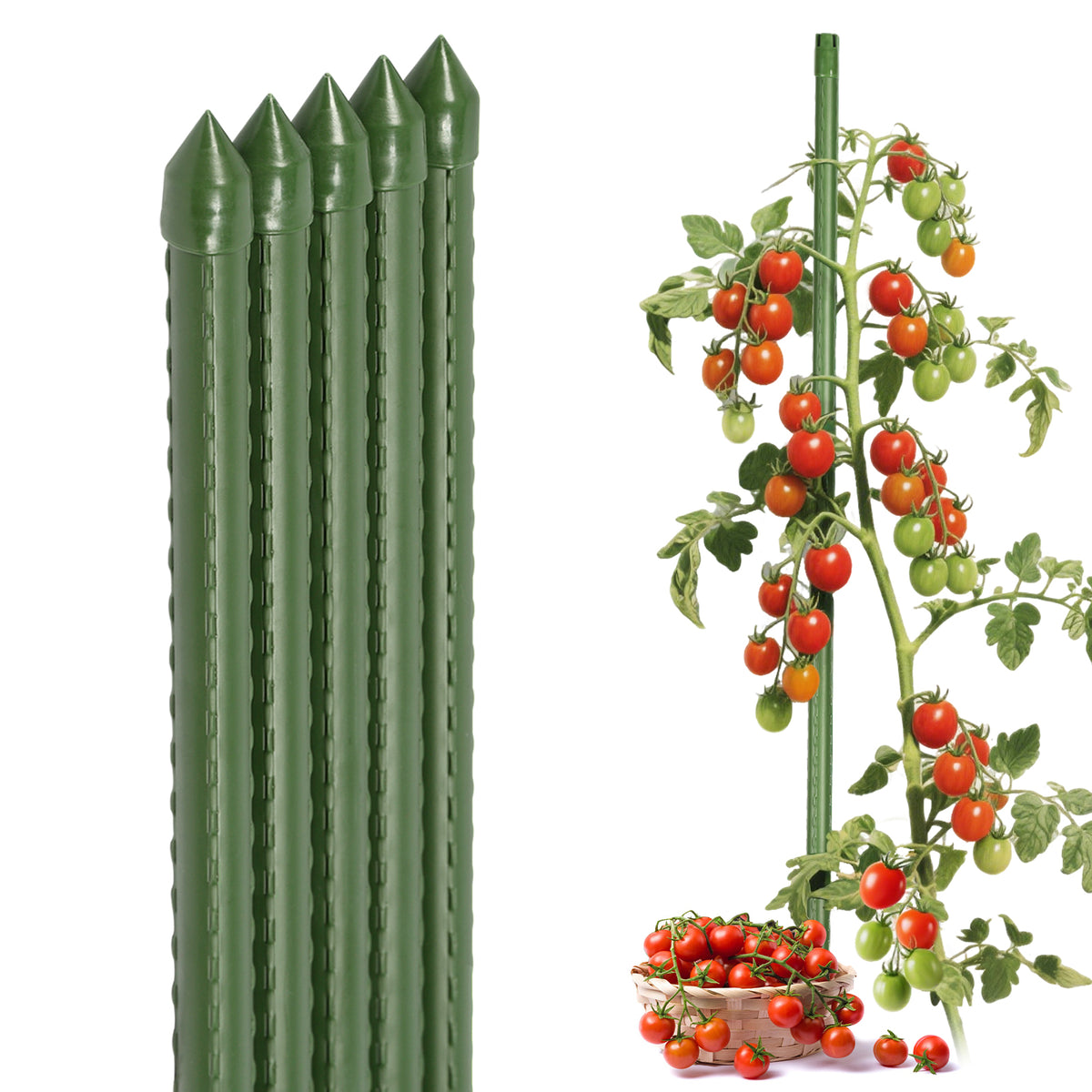 Sekey Tomaten Rankhilfe – Pflanzenstütze aus kunststoffbeschichtetem Stahl, rostfrei, Rankstab für Tomaten, Gurken, Bohnen & Blumen, verschiedene Größen 60cm / 75cm / 90cm / 120cm / 145cm Rankstäbe, Grün