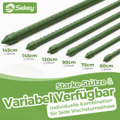 Sekey Tomaten Rankhilfe – Pflanzenstütze aus kunststoffbeschichtetem Stahl, rostfrei, Rankstab für Tomaten, Gurken, Bohnen & Blumen, verschiedene Größen 60cm / 75cm / 90cm / 120cm / 145cm Rankstäbe, Grün