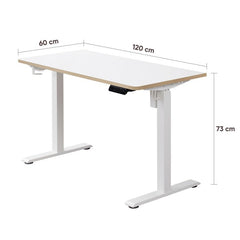 KOWO 120 cm Height Adjustable Desk Electric with Touchscreen and Charger