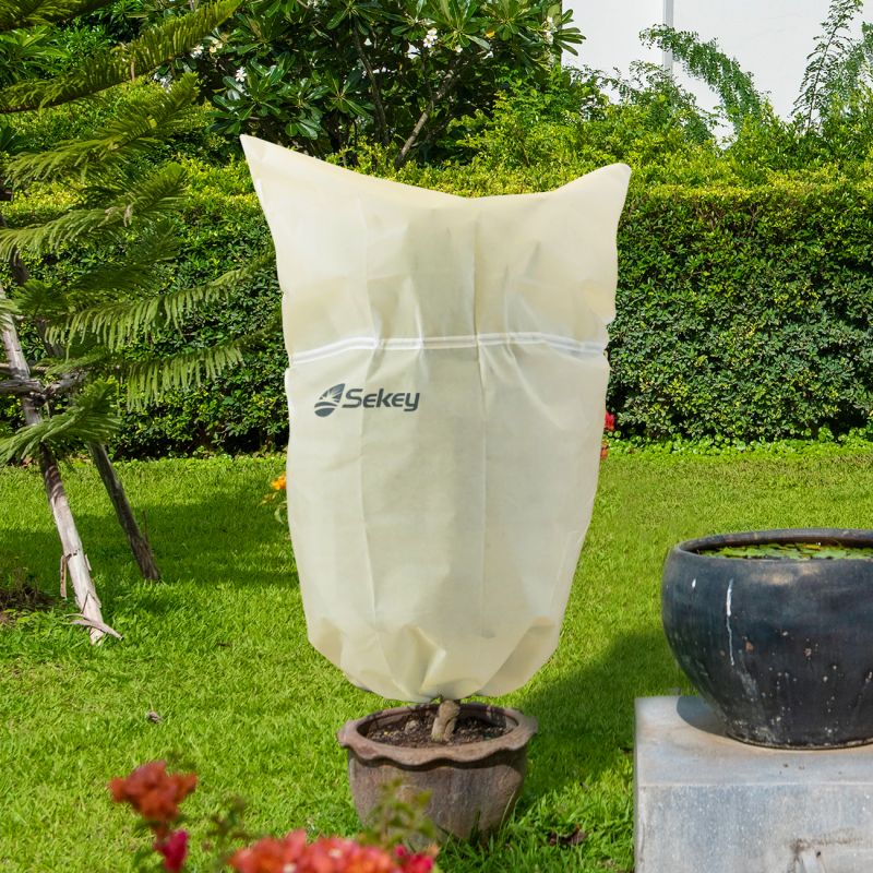 Sekey winter protection pot plant bag made of 80 g/m² nonwoven fabric, beige