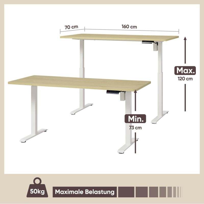 KOWO 160 cm Height Adjustable Desk Electric with Touchscreen and Charger