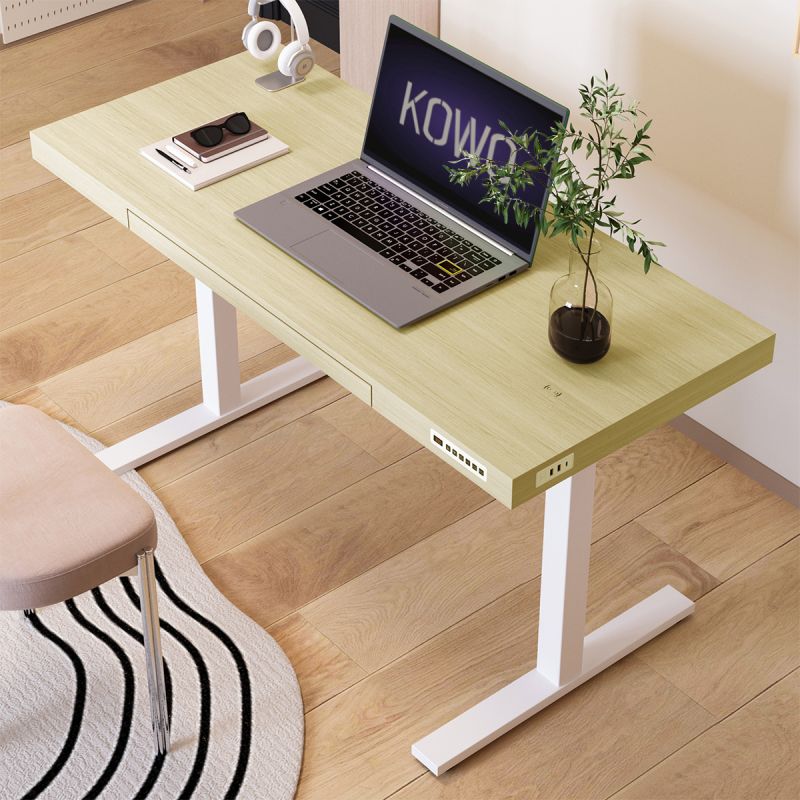 KOWO 120 cm Electric Height Adjustable Desk with Drawers and Wireless Charging, Mobilo