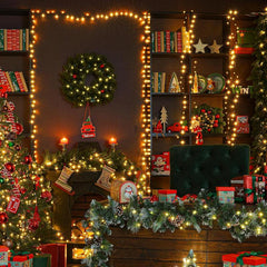 Salcar 5/10/15/23/40/60/80/100m Lichterkette, 50/150/220/360/640/1000/1330/1660 LEDs, 31V GS-zertifizierte Stromversorgung