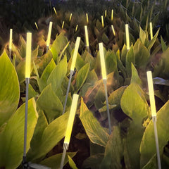 Salcar set of 2 LED solar garden lights with bubble columns