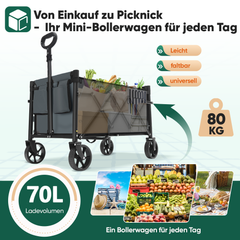 Sekey 4029 Folding Wagon with Brake – Space-Saving Handcart for Trips &amp; Shopping