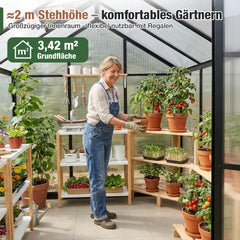 Sekey Aluminium-Gewächshaus 185x185x195 cm – Wetterfestes & winterfestes Tomatenhaus mit 6 mm Hohlkammerplatten und nach außen öffnender Tür