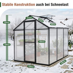 Sekey Aluminium-Gewächshaus 185x185x195 cm – Wetterfestes & winterfestes Tomatenhaus mit 6 mm Hohlkammerplatten und nach außen öffnender Tür