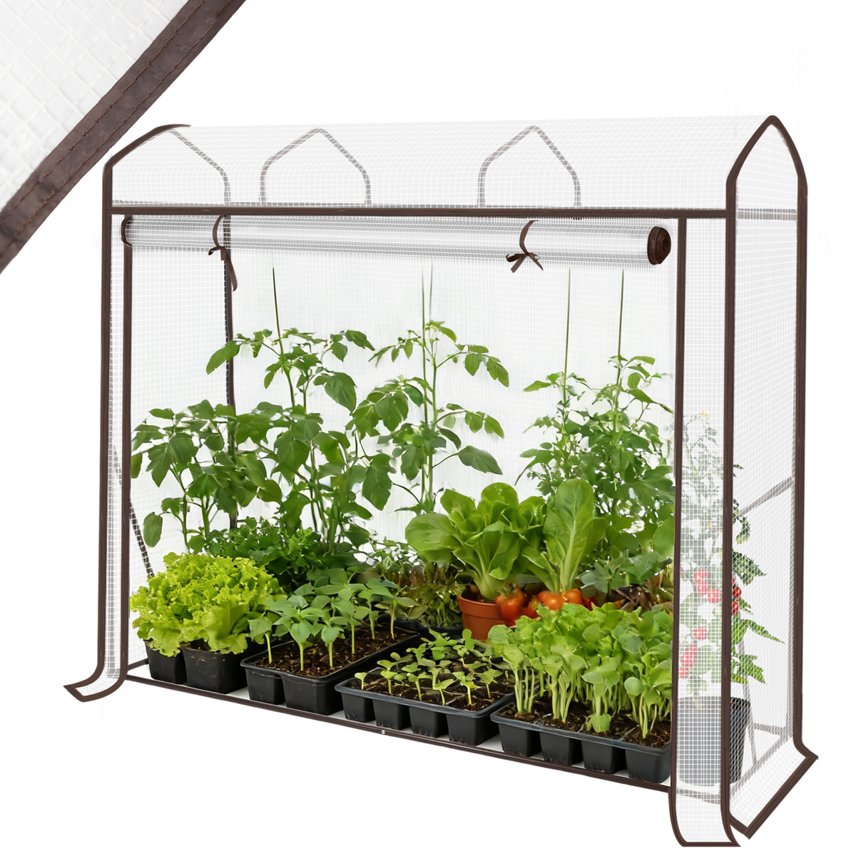 Sekey Dachdesign Gewächshaus Tomatengewächshaus – Foliengewächshaus mit Schrägdach, stabil & winterfest, für Balkon und Garten, 180 × 150 × 50 cm