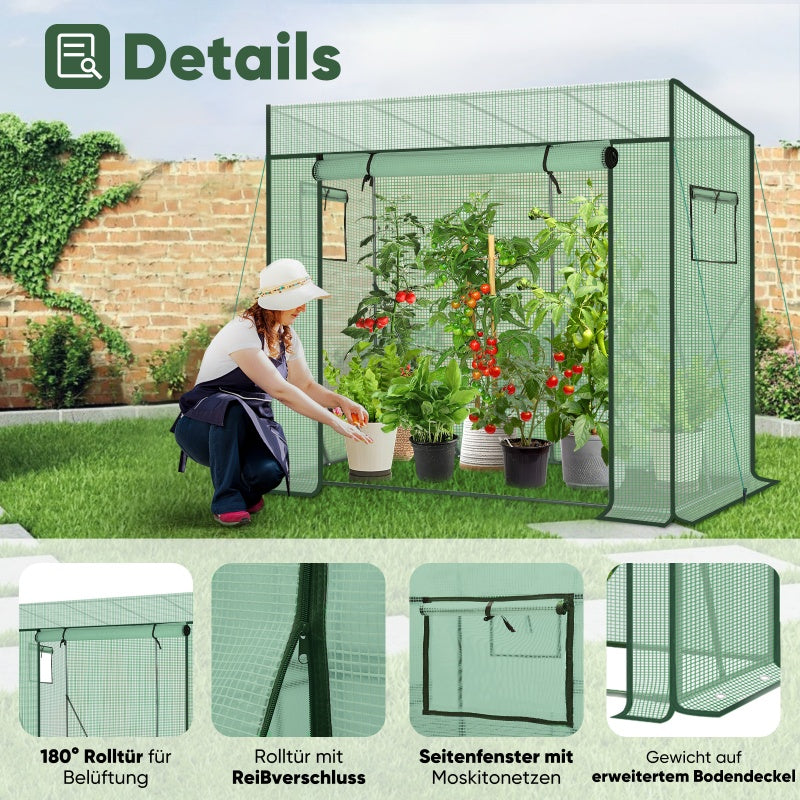 Sekey foil greenhouse with pitched roof, 200 cm x 77 cm x 146/169 cm