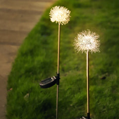 Salcar 2-piece set of LED solar garden lights with dandelion-like design