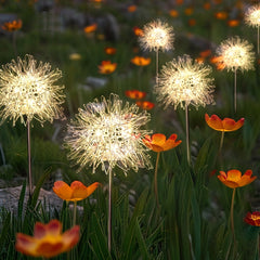 Salcar 2-piece set of LED solar garden lights with dandelion-like design