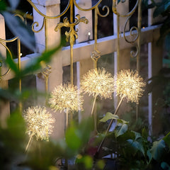 Salcar 2-piece set of LED solar garden lights with dandelion-like design