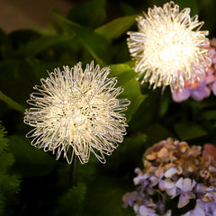 Salcar 2-piece set of LED solar garden lights with dandelion-like design