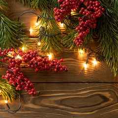 Salcar 5/10/15/23/40/60/80/100m Lichterkette, 50/150/220/360/640/1000/1330/1660 LEDs, 31V GS-zertifizierte Stromversorgung