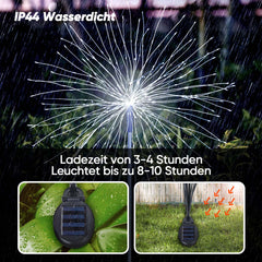 Salcar set of 2 LED solar garden lights with firework effect