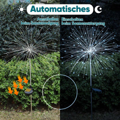 Salcar set of 2 LED solar garden lights with firework effect