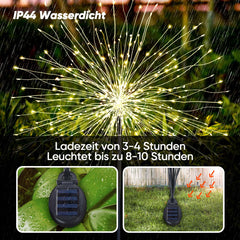 Salcar set of 2 LED solar garden lights with firework effect