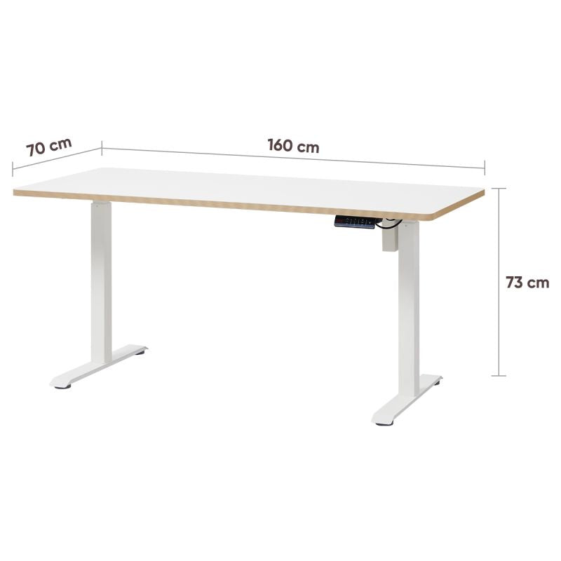 KOWO 160 cm Height Adjustable Desk Electric with Touchscreen and Charger