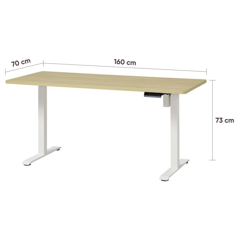 KOWO 160 cm Height Adjustable Desk Electric with Touchscreen and Charger