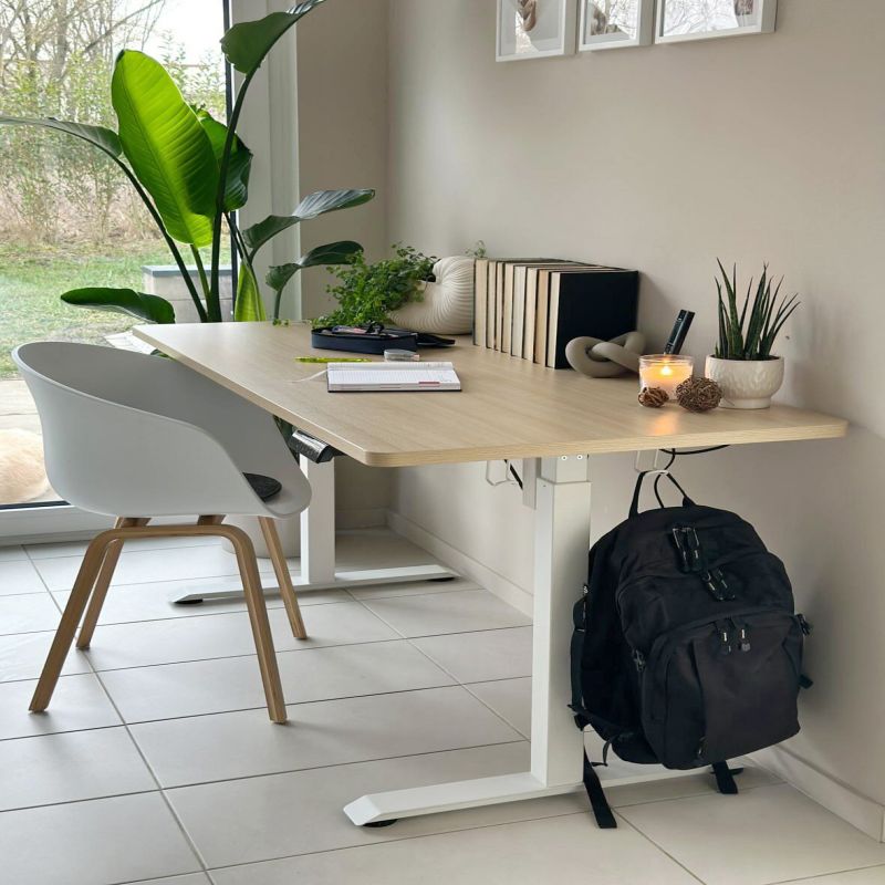 KOWO 160 cm Height Adjustable Desk Electric with Touchscreen and Charger