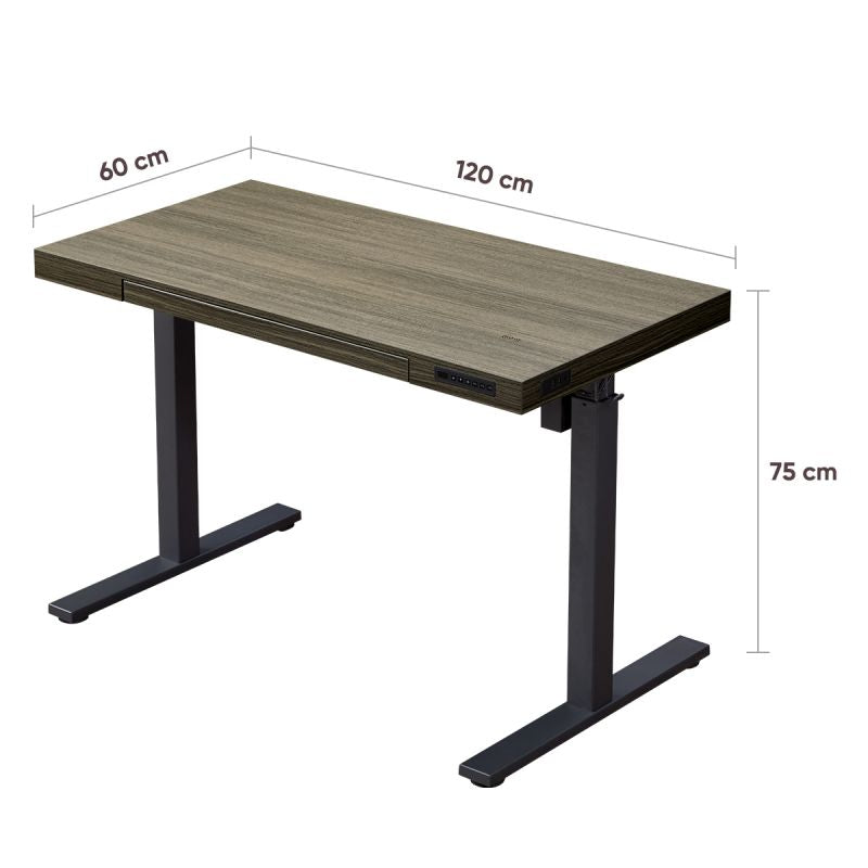 KOWO 120 cm Electric Height Adjustable Desk with Drawers and Wireless Charging, Mobilo