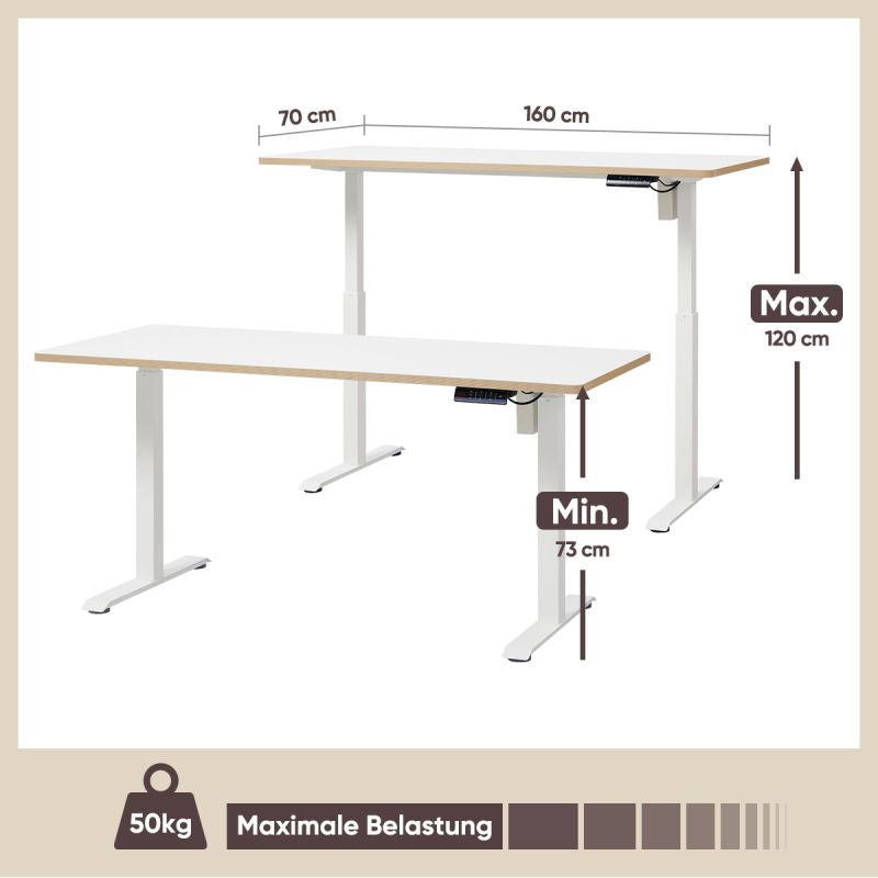 KOWO 160 cm Height Adjustable Desk Electric with Touchscreen and Charger