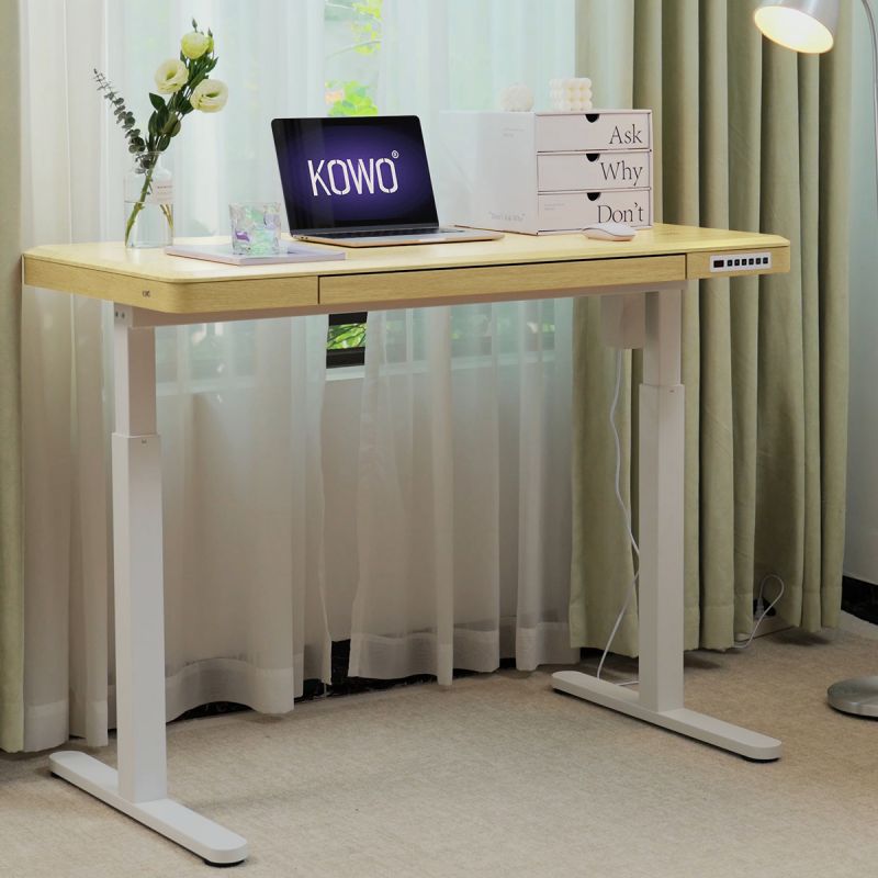 KOWO 120 cm Electric Height Adjustable Desk with Drawers and Wireless Charging, AufMax