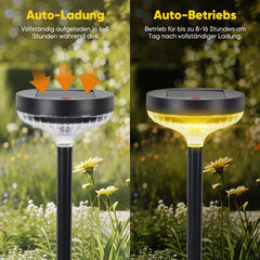 Salcar set of 2 LED solar garden lights, with 1200 mAh battery