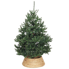Salcar Weihnachtsbaumdecke aus Wasserhyazinthe – Handgefertigter Weihnachtsbaum Kragen in Natur, Ø 60 / 68 cm, Stilvoller Rattan Look