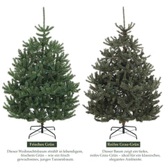 Salcar Artificial Nordmann Fir Christmas Tree – Ultra-realistic, 180 cm / 210 cm, 1118 / 1512 tips, Dense &amp; Durable for Indoor and Outdoor Use